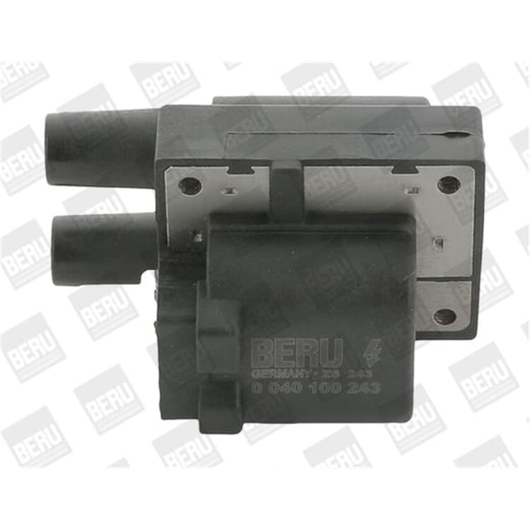 Beru Z?ndspule Renault Clio Kangoo Megane Beru Z?ndspule Renault Clio Kangoo Megane von BORGWARNER (BERU)