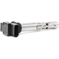 BERU Zündspule Spark Spring ZSE059 Einzelzündspule VW,SKODA,SEAT,POLO (9N_),Fox Schrägheck (5Z1, 5Z3, 5Z4),Fabia II Schrägheck (542) BERU Zündspule Spark Spring ZSE059 Einzelzündspule VW,SKODA,SEAT,POLO (9N_),Fox Schrägheck (5Z1, 5Z3, 5Z4),Fabia II Schrägheck (542) von BERU