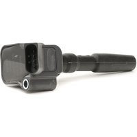 BERU Zündspule Spring ZSE126 Einzelzündspule VW,AUDI,SKODA,Golf VII Schrägheck (5G1, BQ1, BE1, BE2),Polo Schrägheck (6R1, 6C1),TIGUAN (5N_) BERU Zündspule Spring ZSE126 Einzelzündspule VW,AUDI,SKODA,Golf VII Schrägheck (5G1, BQ1, BE1, BE2),Polo Schrägheck (6R1, 6C1),TIGUAN (5N_) von BERU
