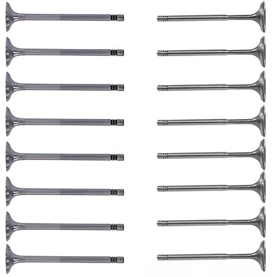 Bestprice 16 Ventile (8x Einlaß 8x Auslaß) für Audi, Seat, Skoda, VW von BESTPRICE