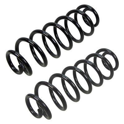 Bestprice 2x Fahrwerksfeder Hinterachse für Seat, Skoda, VW Bestprice 2x Fahrwerksfeder Hinterachse für Seat, Skoda, VW von BESTPRICE