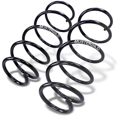 Bestprice 2x Fahrwerksfeder Vorderachse für Ford, Seat, VW Bestprice 2x Fahrwerksfeder Vorderachse für Ford, Seat, VW von BESTPRICE