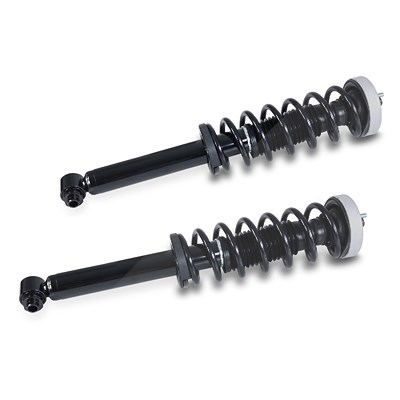 Bestprice 2x Federbein komplett hinten für BMW Bestprice 2x Federbein komplett hinten für BMW von BESTPRICE