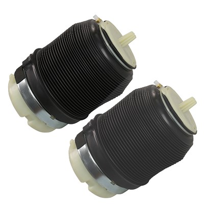 Bestprice 2x Luftfederbalg Hinterachse beidseitig für Audi Bestprice 2x Luftfederbalg Hinterachse beidseitig für Audi von BESTPRICE