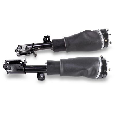 Bestprice 2x Luftfederbein Voderachse für Land Rover Bestprice 2x Luftfederbein Voderachse für Land Rover von BESTPRICE