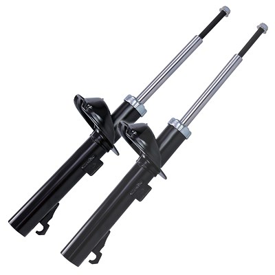 Bestprice 2x Stossdämpfer vorne Gasdruck beidseitig für Ford, Mazda Bestprice 2x Stossdämpfer vorne Gasdruck beidseitig für Ford, Mazda von BESTPRICE