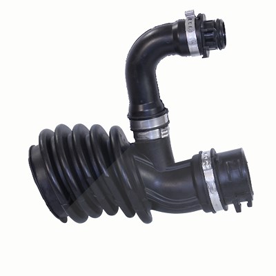 Bestprice Ansaugschlauch, Luftfilter [Hersteller-Nr. 46492] für Ford, Volvo von BESTPRICE