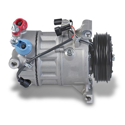 Bestprice Klimakompressor DCS17EC [Hersteller-Nr. 32737] für Ford, Volvo von BESTPRICE