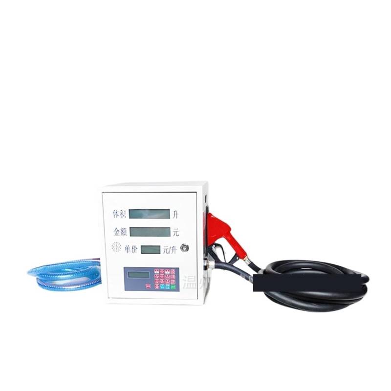Betankungsmaschine for kleine Fahrzeuge 12V24V220, pumpenzähler mit großem Durchfluss, Durchflussmesser, Ölpumpenfüllmaschine(12V self-priming not silent) von BEWKUR