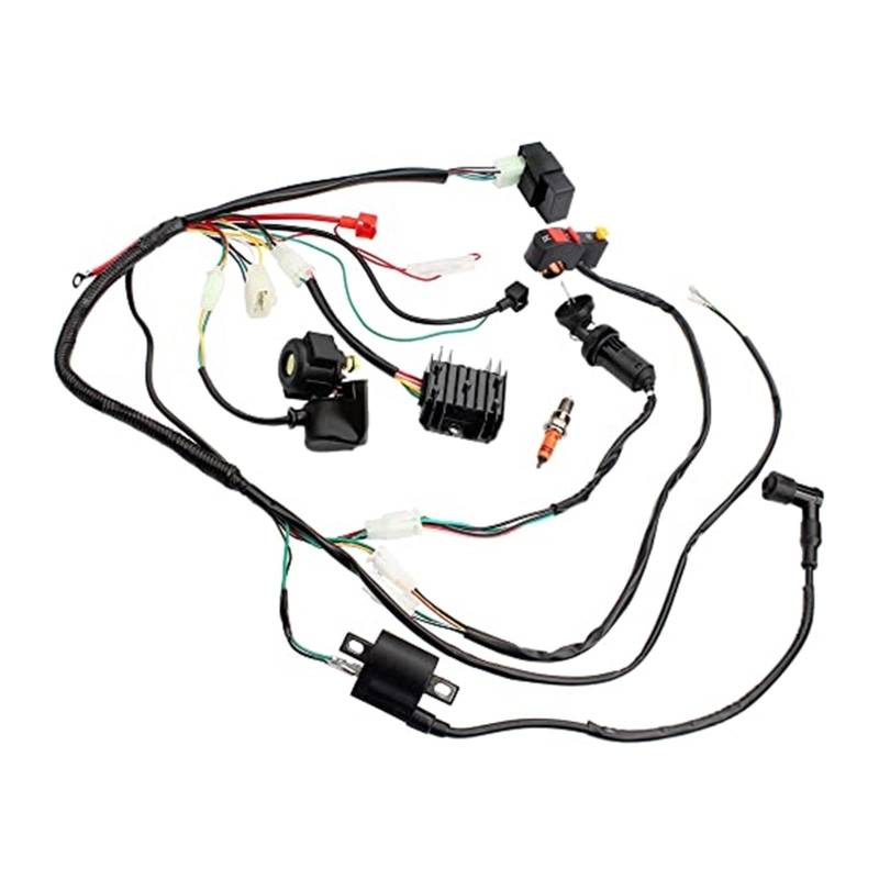 Motorrad Zündschloss Für ATV Für Quad Für Dirt Bike 150Cc 200Cc Komplette Elektrik Kabelbaum CDI Zündspule Magnet Relais Kits Für 4-hub von BEYEPZNZCK