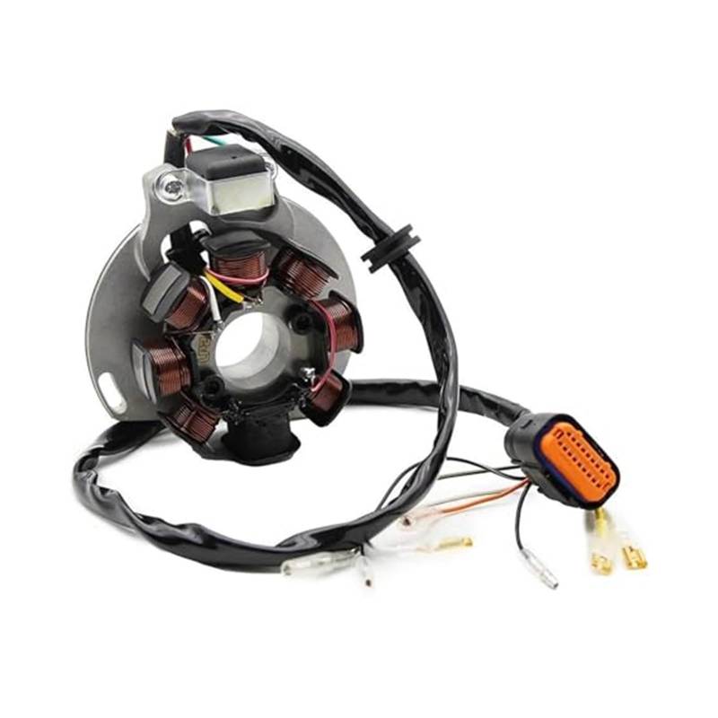 Motorrad Zündschloss Für EC125 2005 2006 Für EC200 Für EC250 Für EC300 2005-2008 Für Gas Stator Magneto Motorrad Generator Magneto Stator Spule von BEYEPZNZCK