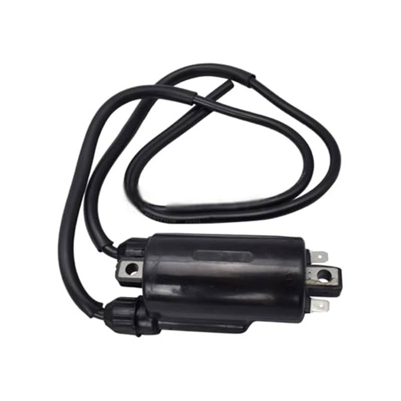 Motorrad Zündschloss Ignition Coil for CBR 600 F4i 2004 CBR600 F2 / F3 / F4i CBR900RR for CBR 900 RR ST1100 ST1300 Motorcycle Ignition Coil 12V External CDI Ignition Coil Pack von BEYEPZNZCK