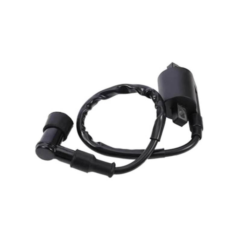 Motorrad Zündschloss for ATV Scooter Engines Motorcycle Parts Motorcycle Ignition Coil 12V High Pressure Coil 50cc 70cc 110cc 125cc 150cc 200cc 250cc von BEYEPZNZCK