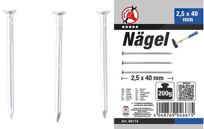 Bgs Do It Yourself Nägel-Sortiment, 200 g, 2,5 x 40 mm [Hersteller-Nr. 88114] von BGS Do it yourself