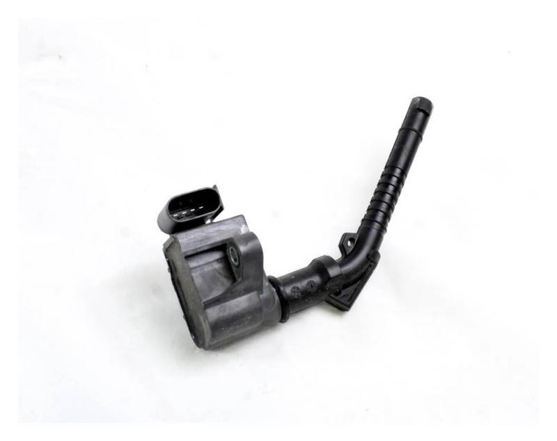 1pcs Ignition Coil 224332935R A2829060000 224334476R BIANMTSW von BIANMTSW