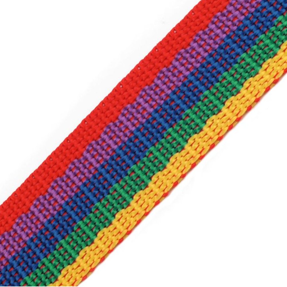 BIG-SAM - 24mm Gurtband aus Polypropylen 1, 5 oder 10 Meter ür Schnallen mit Einer Breite von 24mm (innen) (Multicolored, 1) von BIG-SAM