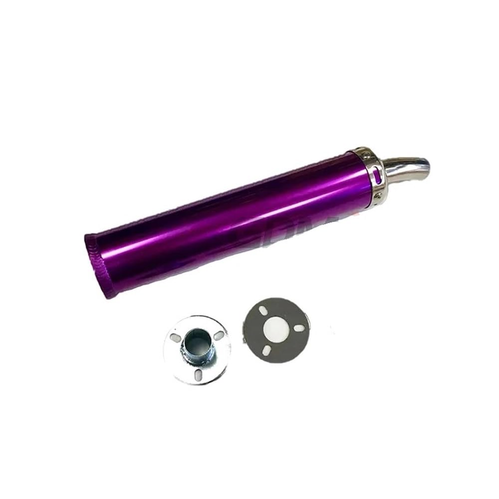 BIKKJBK Motorrad Schalldämpfer Universal Metall 60x280mm Lange Motorrad Auspuff Schalldämpfer 2-takt Schalldämpfer Für 50cc-240cc BIKKJBK Motorrad Schalldämpfer Universal Metall 60x280mm Lange Motorrad Auspuff Schalldämpfer 2-takt Schalldämpfer Für 50cc-240cc von BIKKJBK