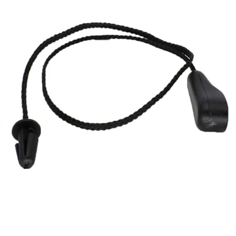 BILKAR Cord Hutablage Haltebände Kompatibel Mit Ford Für Focus MK2 Schrägheck 2004 2005 2006 2007 2008 2009 2010 2011 Tonneau Hatch Cover Lift String Strap von BILKAR