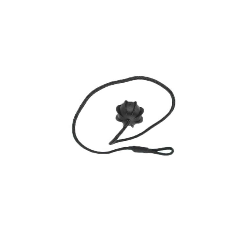 BILKAR Cord Hutablage Haltebände Kompatibel Mit Skoda Für Fabia Mk1 1999 2000 2001 2002 2003 2004 2005 2006 2007. Hutablage-Schnur, Hintere Hutablage-Gurtschnur, Schnur 6v6863634(1pcs) von BILKAR