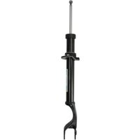 Stoßdämpfer BILSTEIN 24-251563 Stoßdämpfer BILSTEIN 24-251563 von Bilstein