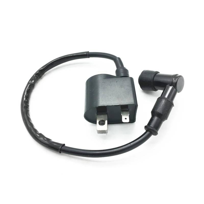 Zündspule Für Suzuki LT50 LT 50 Alle Jahre Zündspule Quad Quadrunner Zündkerzenstecker Motorrad Motor Zündspulen von BIVOO