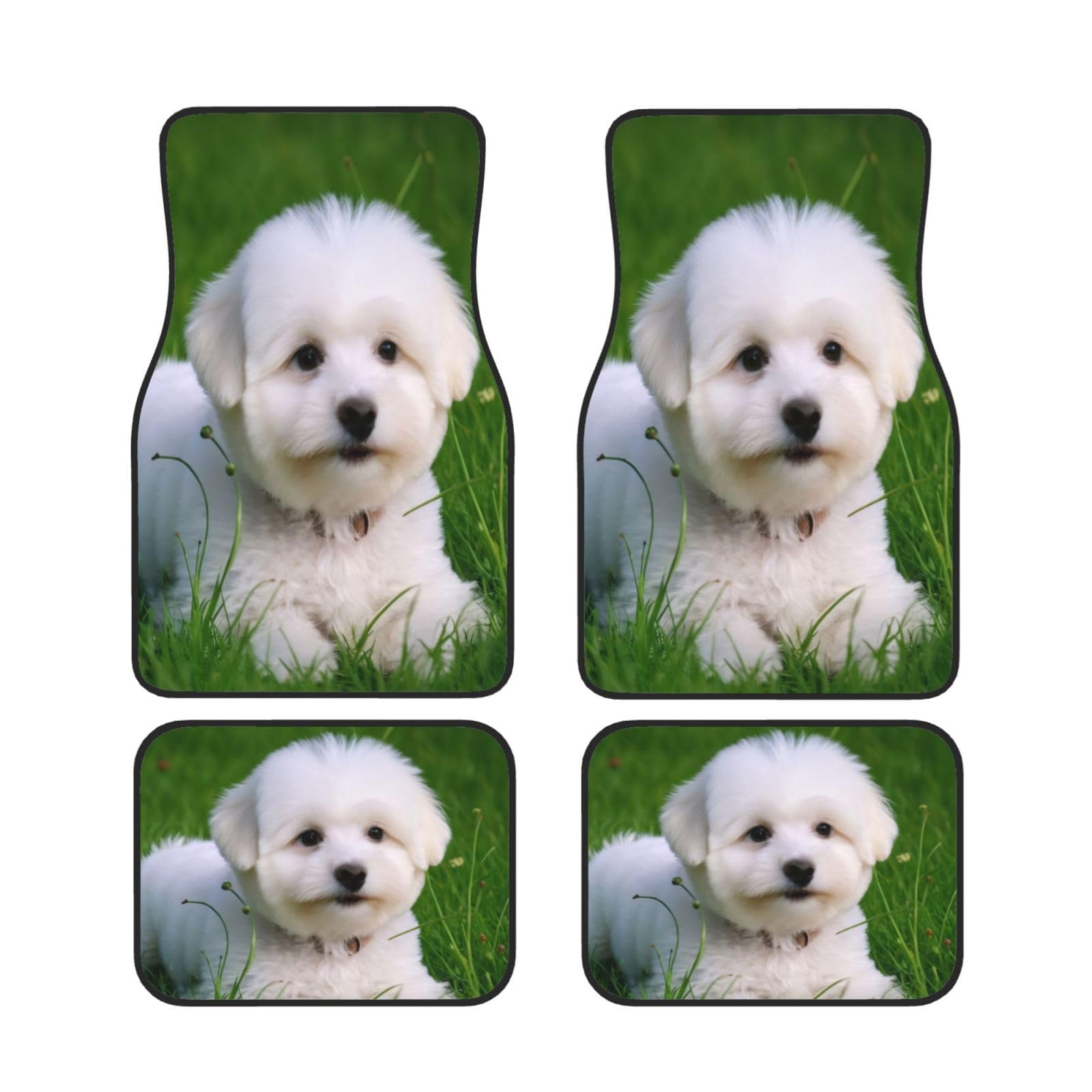 Bichon On The Grass Universal Auto Fußmatten Auto Fußmatten Set von 4 Stück Automotive Front Rear Floor Mats Anti-Rutsch-Neopren Auto Fußmatten für SUVs, Limousinen, Van, LKW Bichon On The Grass Universal Auto Fußmatten Auto Fußmatten Set von 4 Stück Automotive Front Rear Floor Mats Anti-Rutsch-Neopren Auto Fußmatten für SUVs, Limousinen, Van, LKW von BKTRAVERPT
