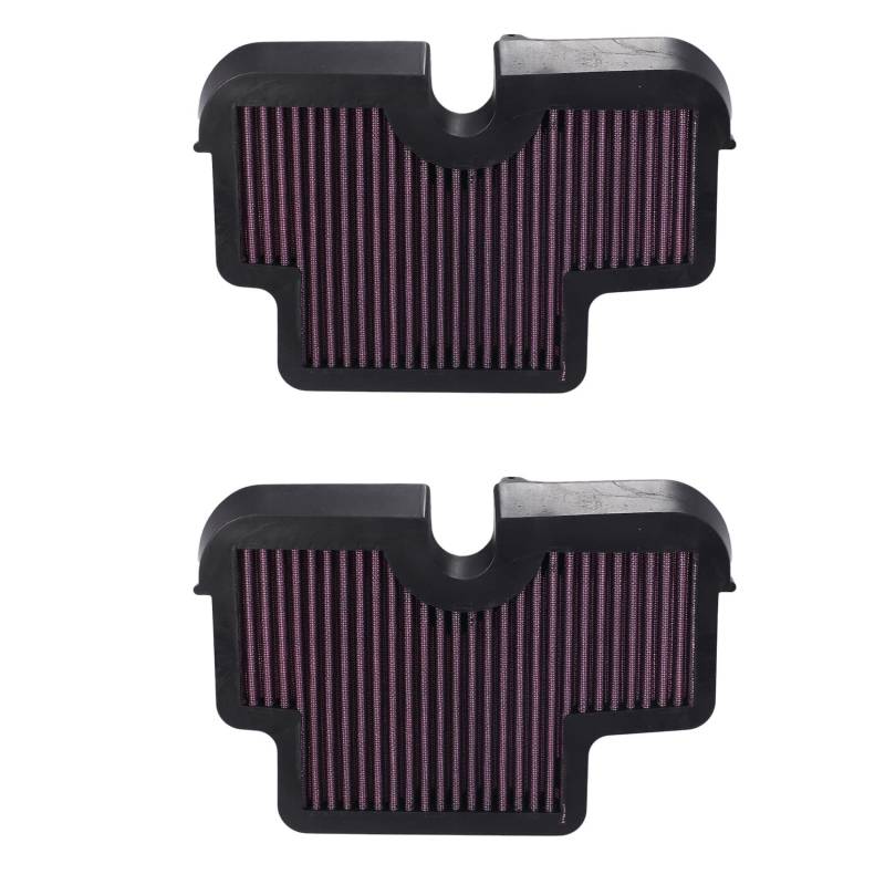 BLASHRD 2X Motorrad Luft Filter für 650 ER-6N ER-6F ER 6N / 6F ER6N ER6F KLE 650 KLE650 von BLASHRD