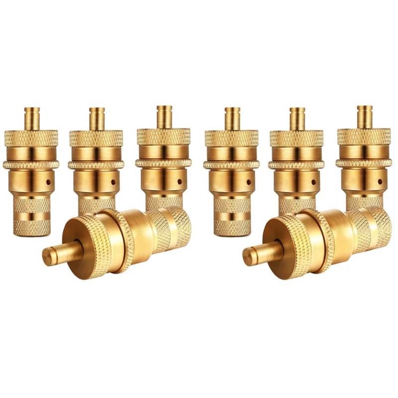 BLASHRD 8 Stück Offroad Messing Reifen Entlüftung Maschine S Kit Automatische 6-30Psi Reifen Reifen Überdruck Ventil von BLASHRD