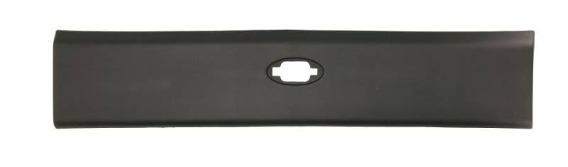 BLIC Seitenschutzleiste OPEL,RENAULT,NISSAN 5703-06-6089574P 4419552,93197648,768F30003R Seitenleiste,Seitenschutz 8287200Q0E von BLIC