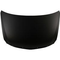 Motorhaube BLIC 6803-00-2902280P von Blic