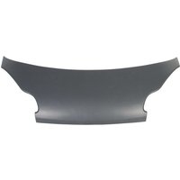 Motorhaube BLIC 6803-00-3502282P Motorhaube BLIC 6803-00-3502282P von Blic