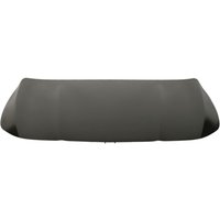 Motorhaube BLIC 6803-00-3535280P Motorhaube BLIC 6803-00-3535280P von Blic