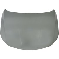 Motorhaube BLIC 6803-00-9540281P Motorhaube BLIC 6803-00-9540281P von Blic