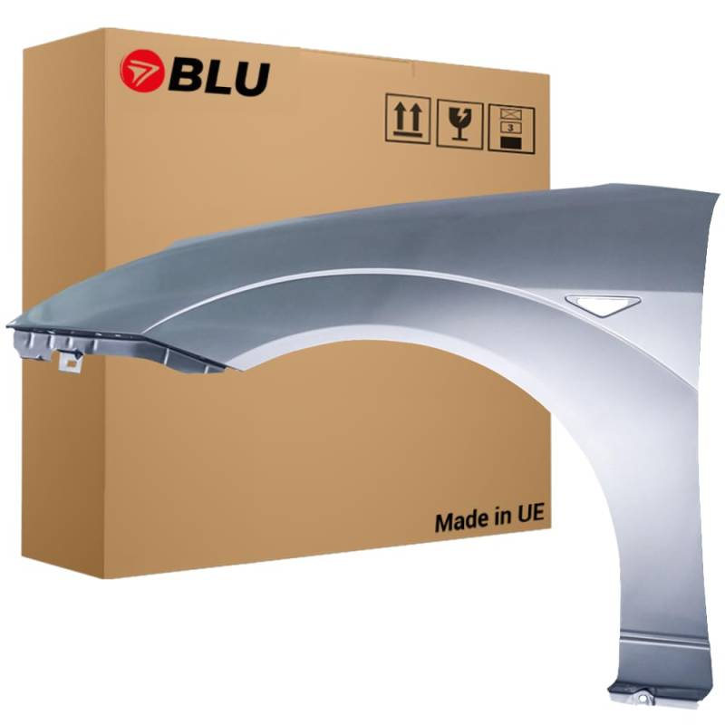 BLU Kotflügel Passend für Ford Focus Mk1 D1 Links Silber | 1998-2004 | Vorderseite Vorne | Lackiert | Einbaufertig von BLU
