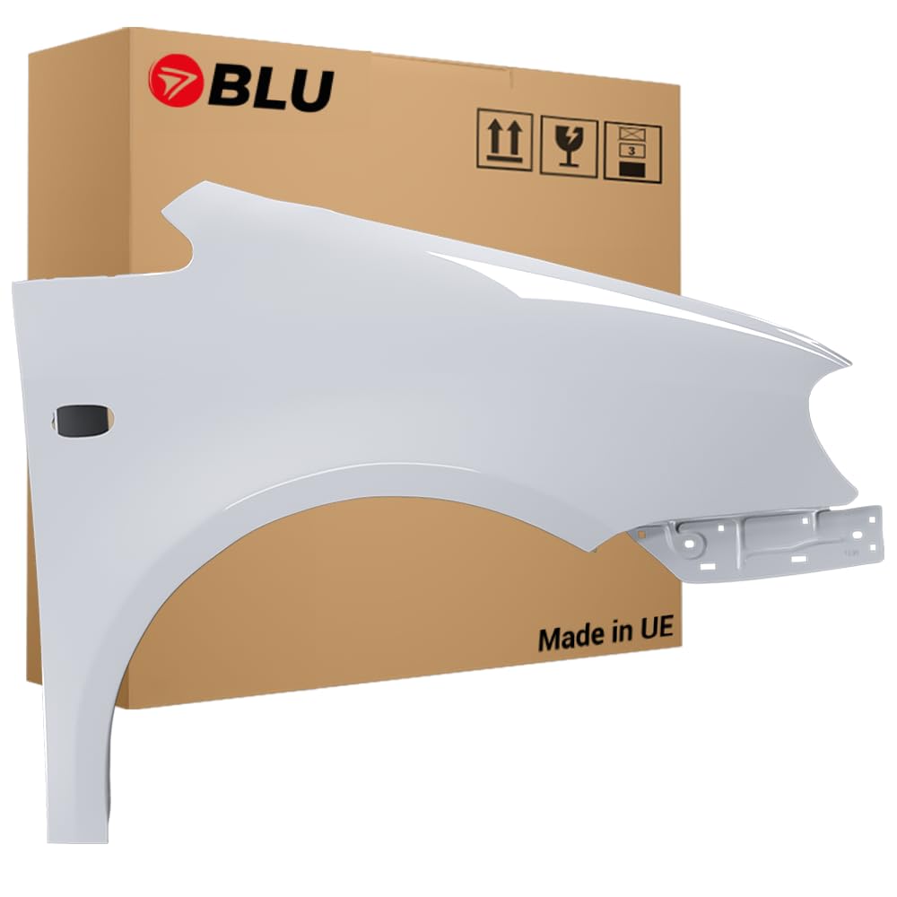 BLU Kotflügel Passend für Volkswagen Caddy III 3 2K LA7W Rechts Silber | 2004-2010 | Vorderseite Vorne | Lackiert | Einbaufertig BLU Kotflügel Passend für Volkswagen Caddy III 3 2K LA7W Rechts Silber | 2004-2010 | Vorderseite Vorne | Lackiert | Einbaufertig von BLU