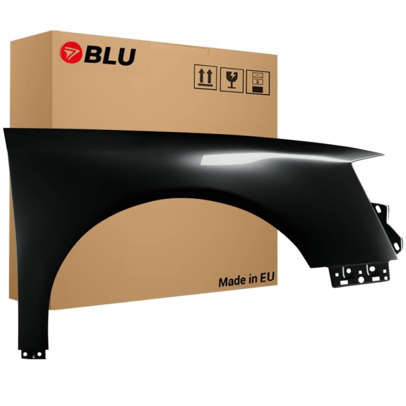 BLU Kotflügel Passend für Volkswagen Passat B6 L041 LO41 Rechts Schwarz | 2005-2010 | Vorderseite Vorne | Lackiert | Einbaufertig von BLU