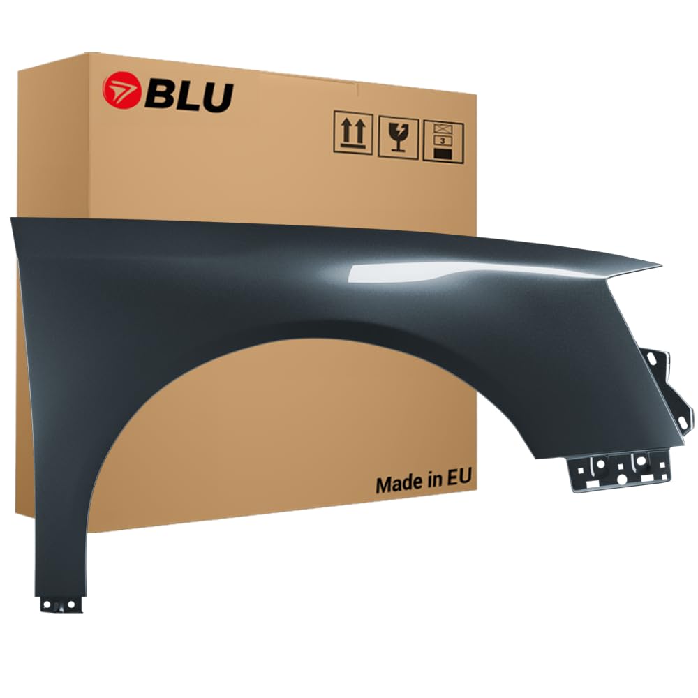 BLU Premium Kotflügel Passend für VW Volkswagen Passat B6 LK7X Rechts Silber | 2005-2010 | Vorderseite Vorne | Verzinkt & Lackiert | Einbaufertig BLU Premium Kotflügel Passend für VW Volkswagen Passat B6 LK7X Rechts Silber | 2005-2010 | Vorderseite Vorne | Verzinkt & Lackiert | Einbaufertig von BLU
