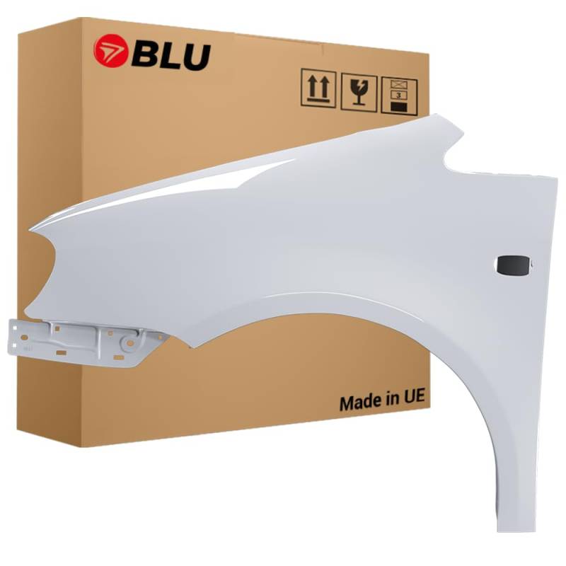BLU Premium Kotflügel Passend für Volkswagen Caddy III 3 2K LA7W Links Silber | 2004-2010 | Vorderseite Vorne | Verzinkt & Lackiert | Einbaufertig von BLU