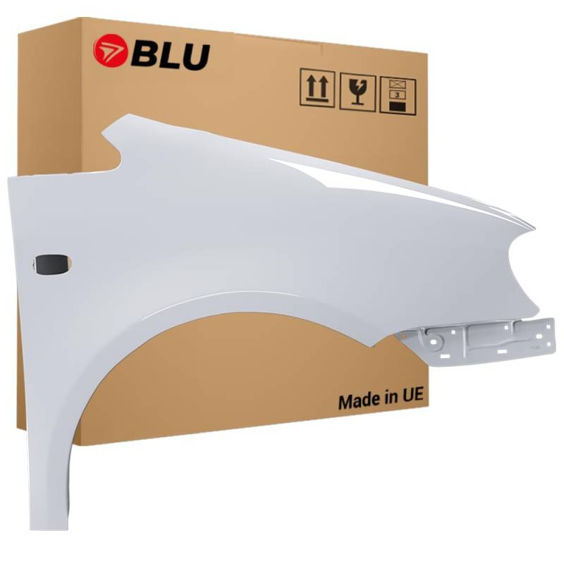 BLU Premium Kotflügel Passend für Volkswagen Caddy III 3 2K LA7W Rechts Silber | 2004-2010 | Vorderseite Vorne | Verzinkt & Lackiert | Einbaufertig von BLU