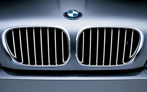 Original BMW Außen vorne links Nieren Kühlergrill Titan (51 13 8 250 051) von BMW