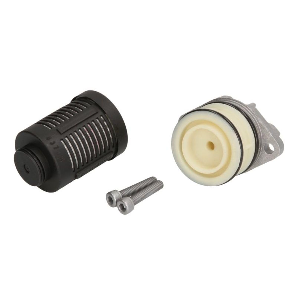 Ölfilter, Differential BORG WARNER BW2003085 Ölfilter, Differential BORG WARNER BW2003085 von BORG WARNER