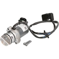 Öldruckpumpe BORG WARNER BW22765779 von Borg Warner