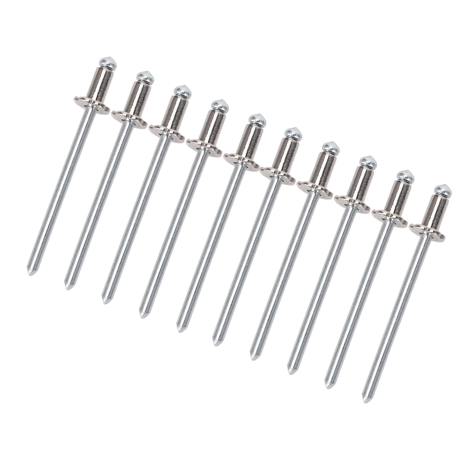 BOROCO 8pcs Rose Nieten Aluminium Rostfeste Autos Rosenförmige Nieten für AMC Vin Door Tag Alle Fahrzeuge (Silber) von BOROCO