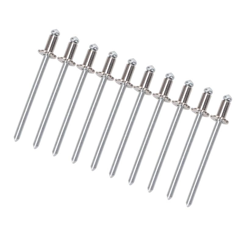 BOROCO 8pcs Rose Nieten Aluminium Rostfeste Autos Rosenförmige Nieten für AMC Vin Door Tag Alle Fahrzeuge (Silber) von BOROCO