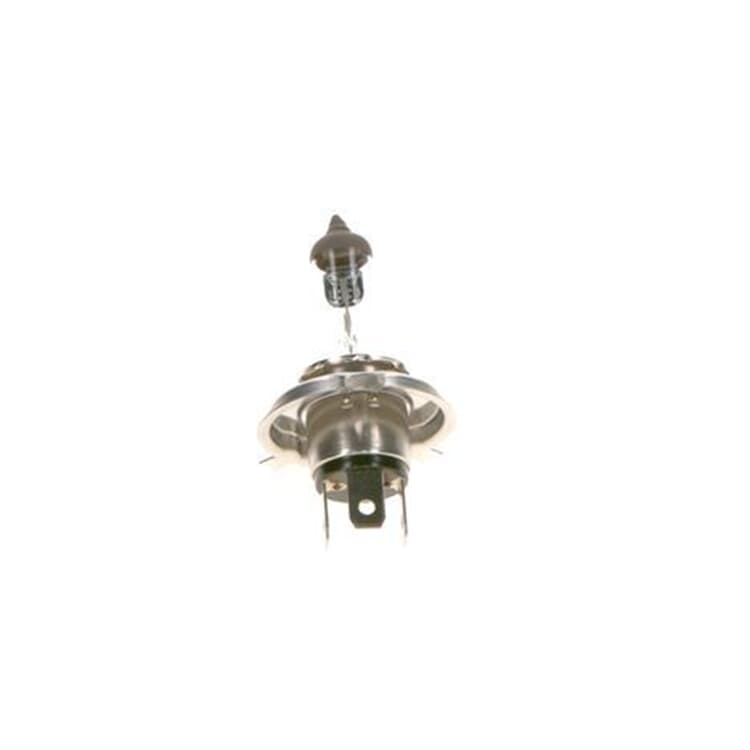 Bosch Gl?hlampe Audi BMW Fiat Hyundai Mercedes Opel Seat Skoda VW Bosch Gl?hlampe Audi BMW Fiat Hyundai Mercedes Opel Seat Skoda VW von BOSCH