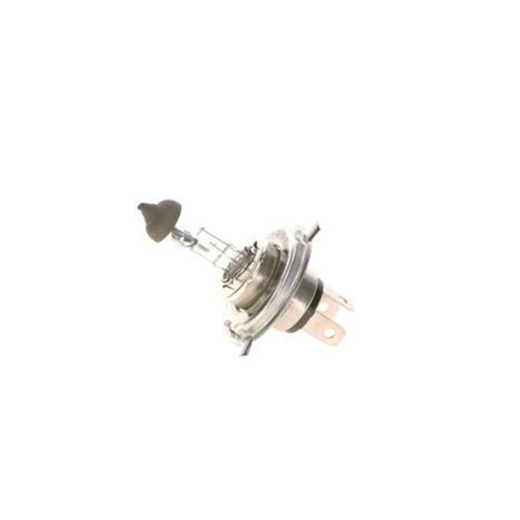 Bosch Gl?hlampe Audi BMW Fiat Hyundai Mercedes Opel Seat Skoda VW Bosch Gl?hlampe Audi BMW Fiat Hyundai Mercedes Opel Seat Skoda VW von BOSCH