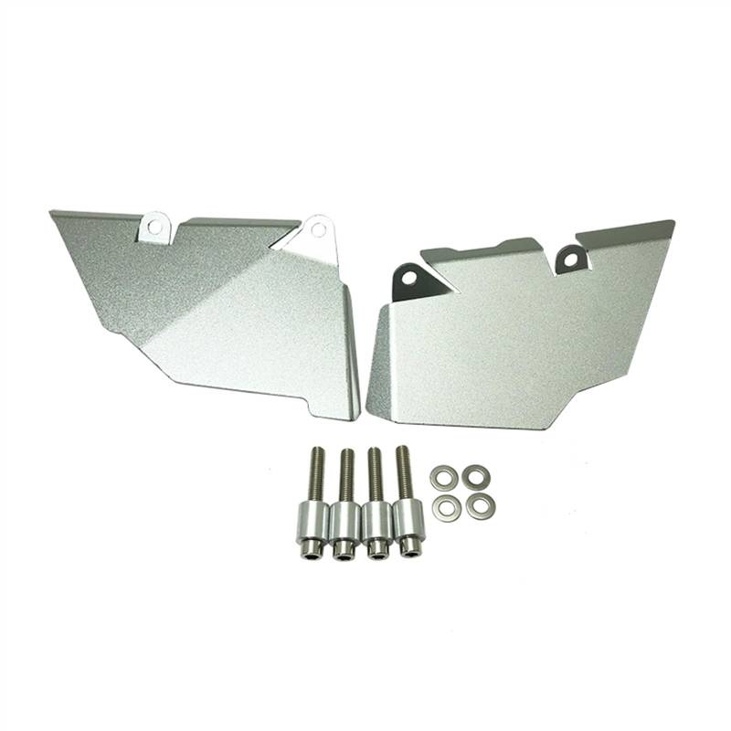 Sozius Haltegriff Für B┐MW R 1250GS R 1200GS ADV 2013-2023 R1250GS R1200GS Rücksitz Fußpedal Kotflügel Kotflügel Aussparung Abdeckung Beifahrer Spritzschutz(Silver) von BOSDF