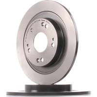 BREMBO Bremsscheibe voll 08.C310.11 Bremsscheiben,Scheibenbremsen HONDA,CIVIC IX (FK),CIVIC IX Tourer (FK),CIVIC VIII Stufenheck (FD, FA) BREMBO Bremsscheibe voll 08.C310.11 Bremsscheiben,Scheibenbremsen HONDA,CIVIC IX (FK),CIVIC IX Tourer (FK),CIVIC VIII Stufenheck (FD, FA) von BREMBO