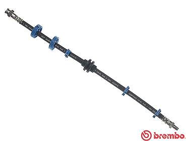 Brembo Bremsschlauch Alfa romeo: Spider, GTV, 155, 146, 145 T23015 Brembo Bremsschlauch Alfa romeo: Spider, GTV, 155, 146, 145 T23015 von BREMBO