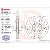 Bremsscheibe BREMBO XTRA LINE BREMBO 09.A829.1X, 1 Stück Bremsscheibe BREMBO XTRA LINE BREMBO 09.A829.1X, 1 Stück von Brembo